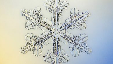 Snowflake.