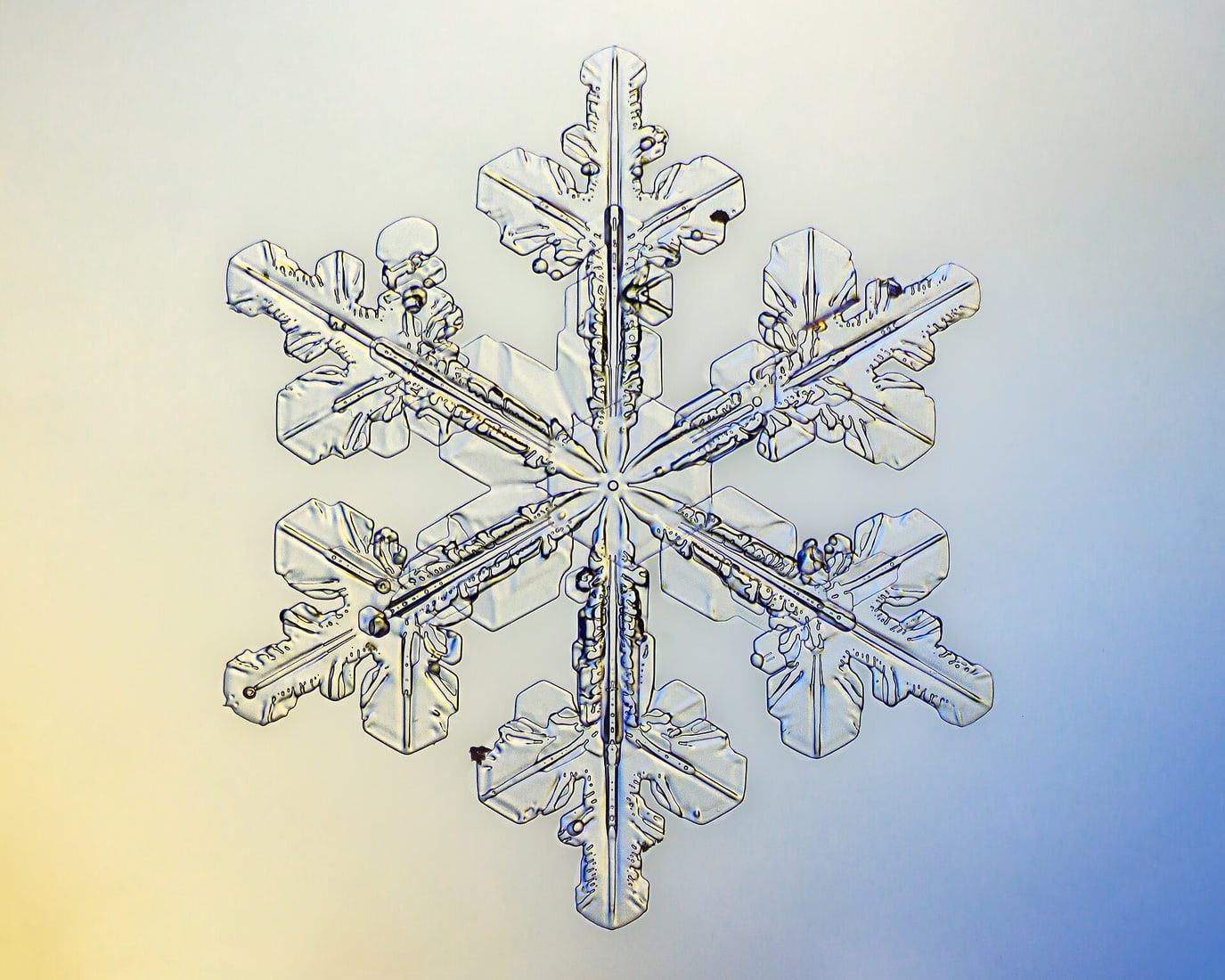 Snowflake.