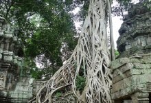 Ta Prohm.