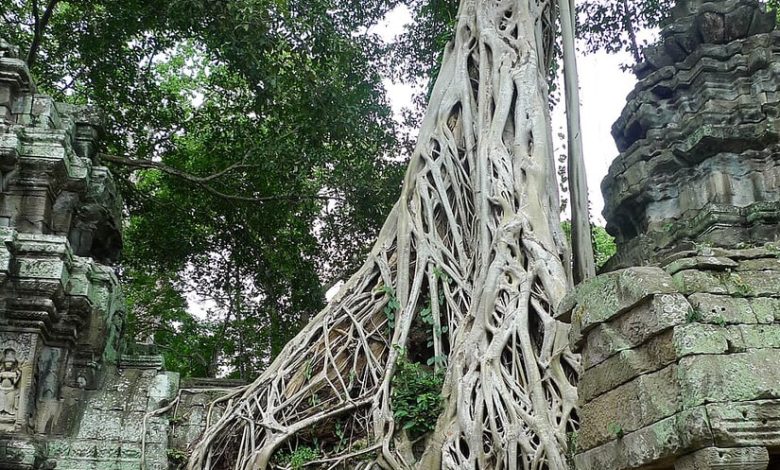 Ta Prohm.