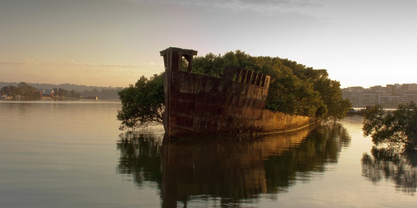 SS Ayrfield.