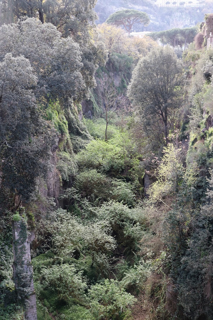 An archival view into Sorrento’s Valley of the Mills.