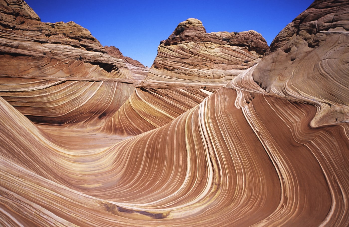 The Wave (Arizona).