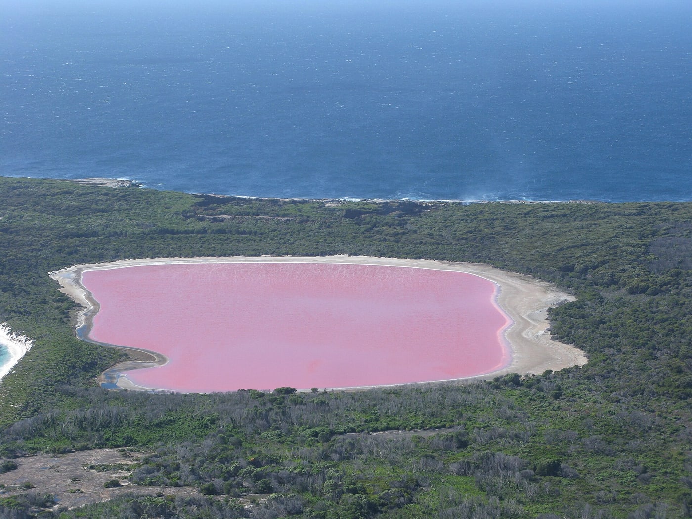 Lake Hillier in April 2011. This archival photograph does not show the lake’s current colour.