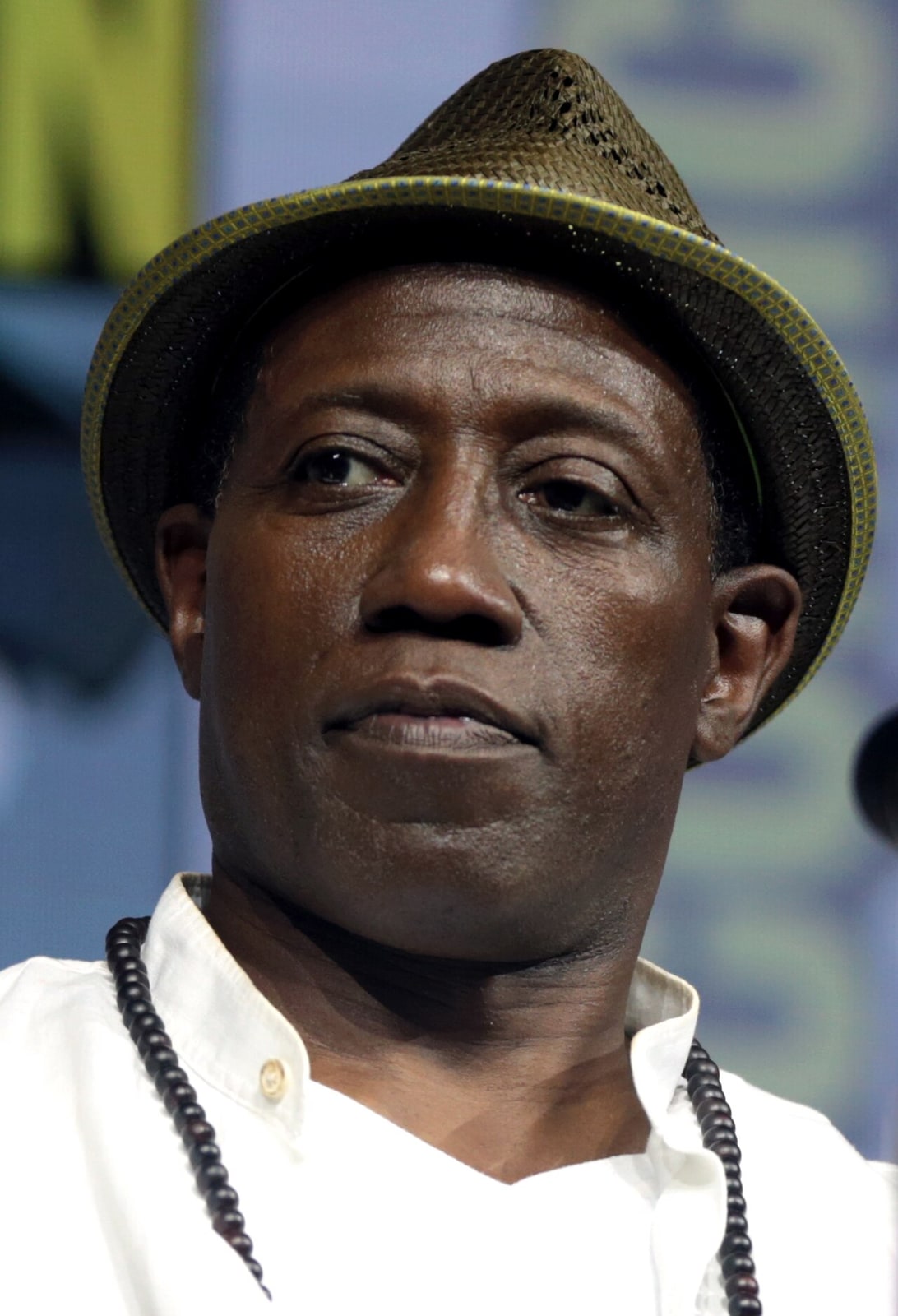 Wesley Snipes speaking at the 2018 San Diego Comic Con International, for "Cut Throat City", at the San Diego Convention Center in San Diego, California. Please attribute to Gage Skidmore if used elsewhere.