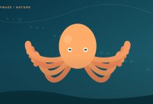 Original illustration of an orange octopus with eight curling arms in blue water