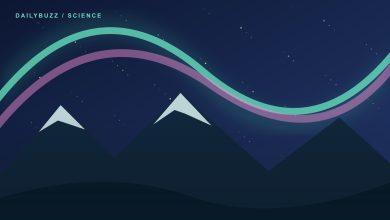 Original illustration of green and pink aurora ribbons above dark mountains